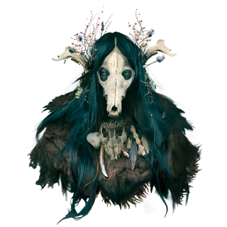 Jon Hodgson