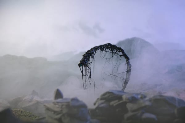 Images: Spirits